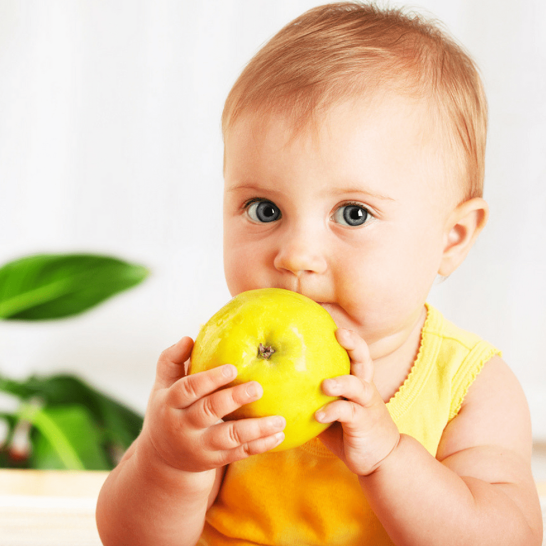 save-money-baby-food