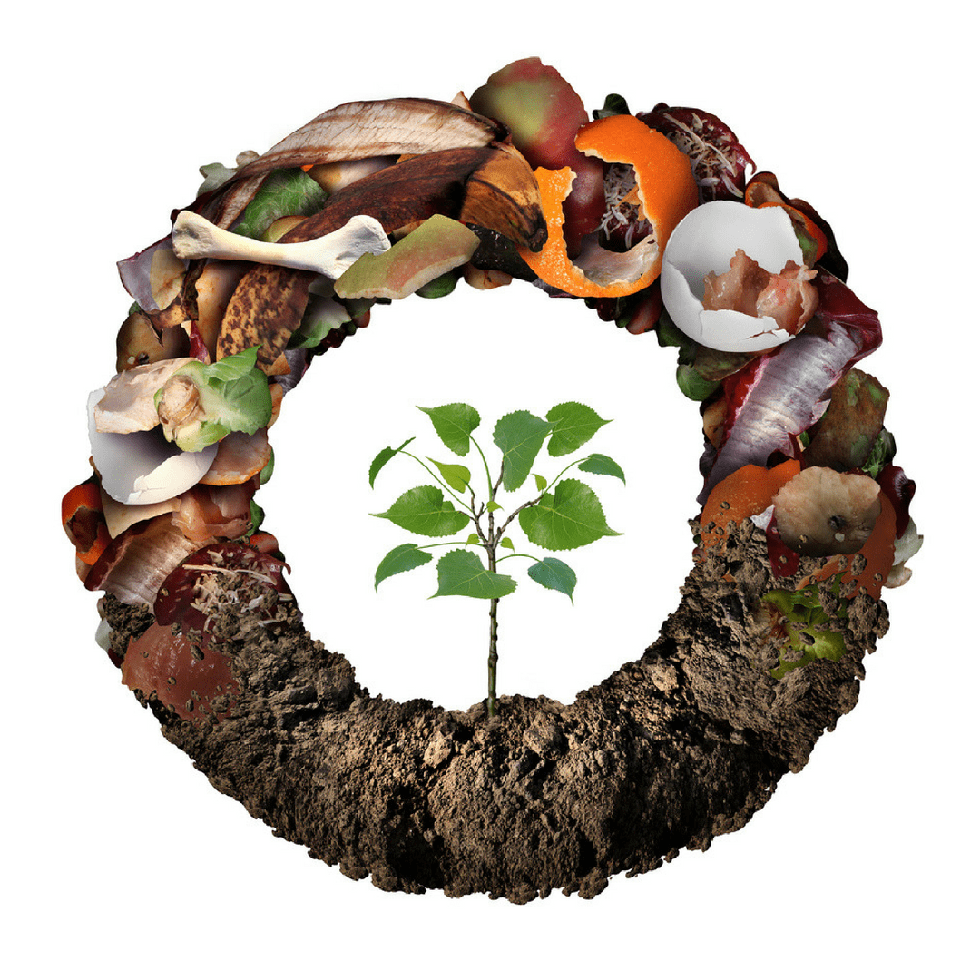 save-money-composting