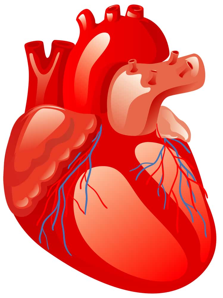 High Blood Pressure and Life Insurance