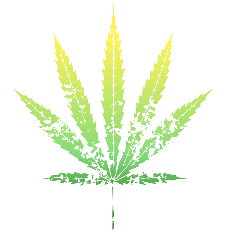 marijuana life insurance for smokers marijuana life insurance for smokers