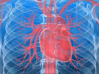 heart valve replacement life insurance heart valve replacement life insurance