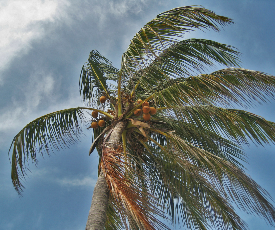 American Integrity Insurance Florida American Integrity Insurance Florida