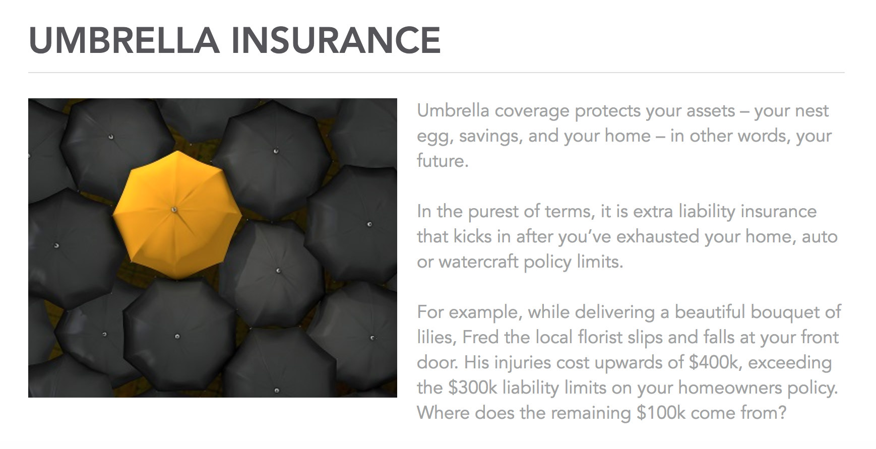 American Integrity Umbrella Insurance American Integrity Umbrella Insurance