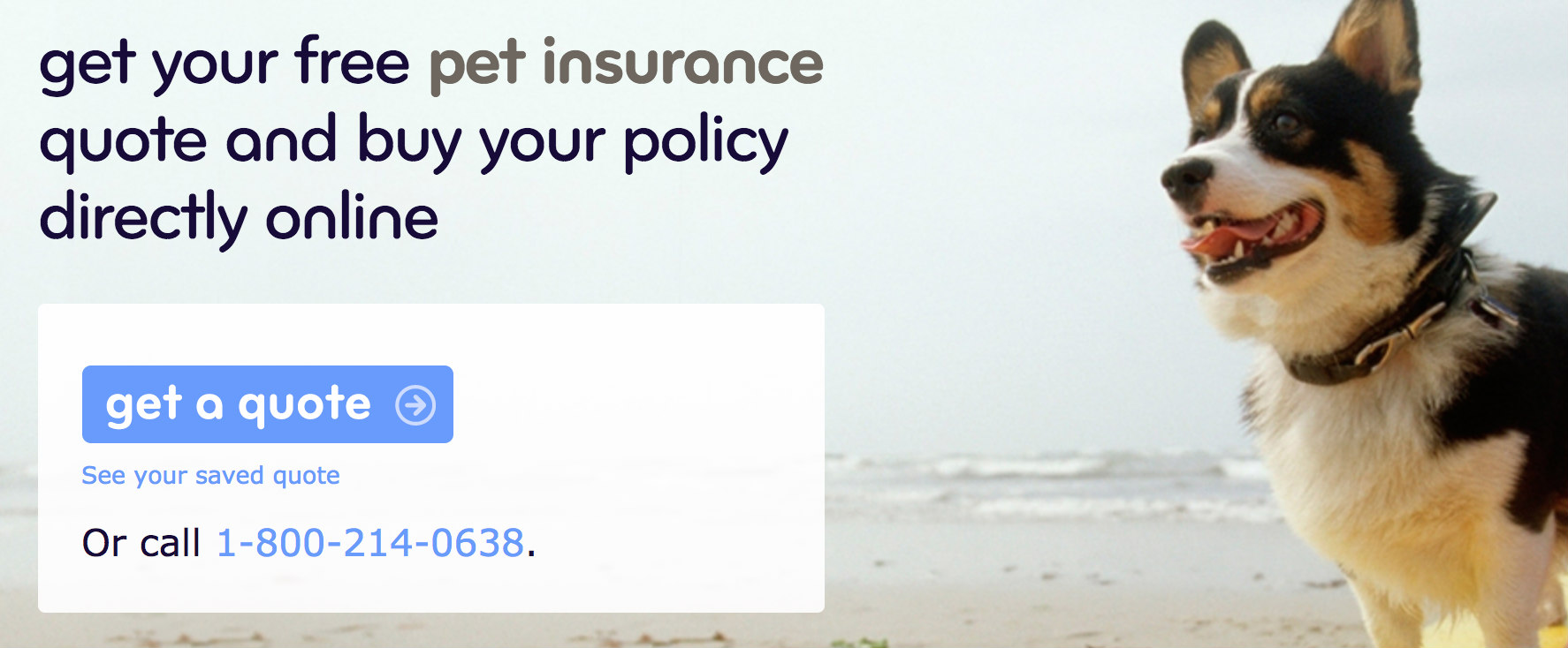 Esurance Pet Insurance Esurance Pet Insurance