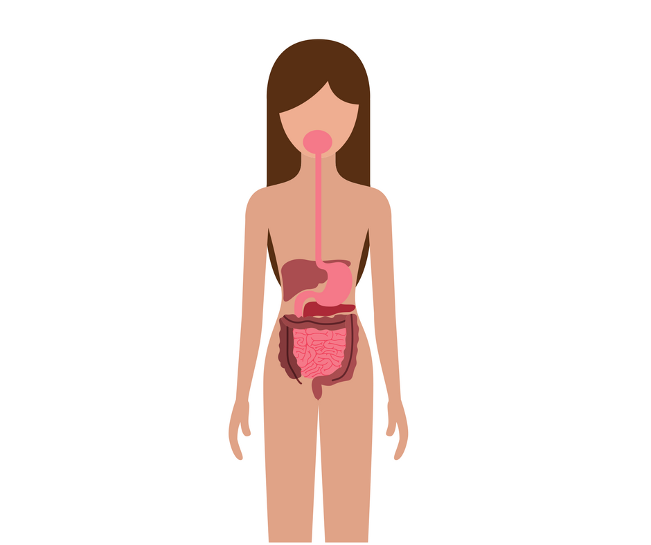 diabetes Pancreas diabetes Pancreas