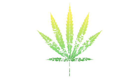 Life Insurance cost marijuana Life Insurance cost marijuana