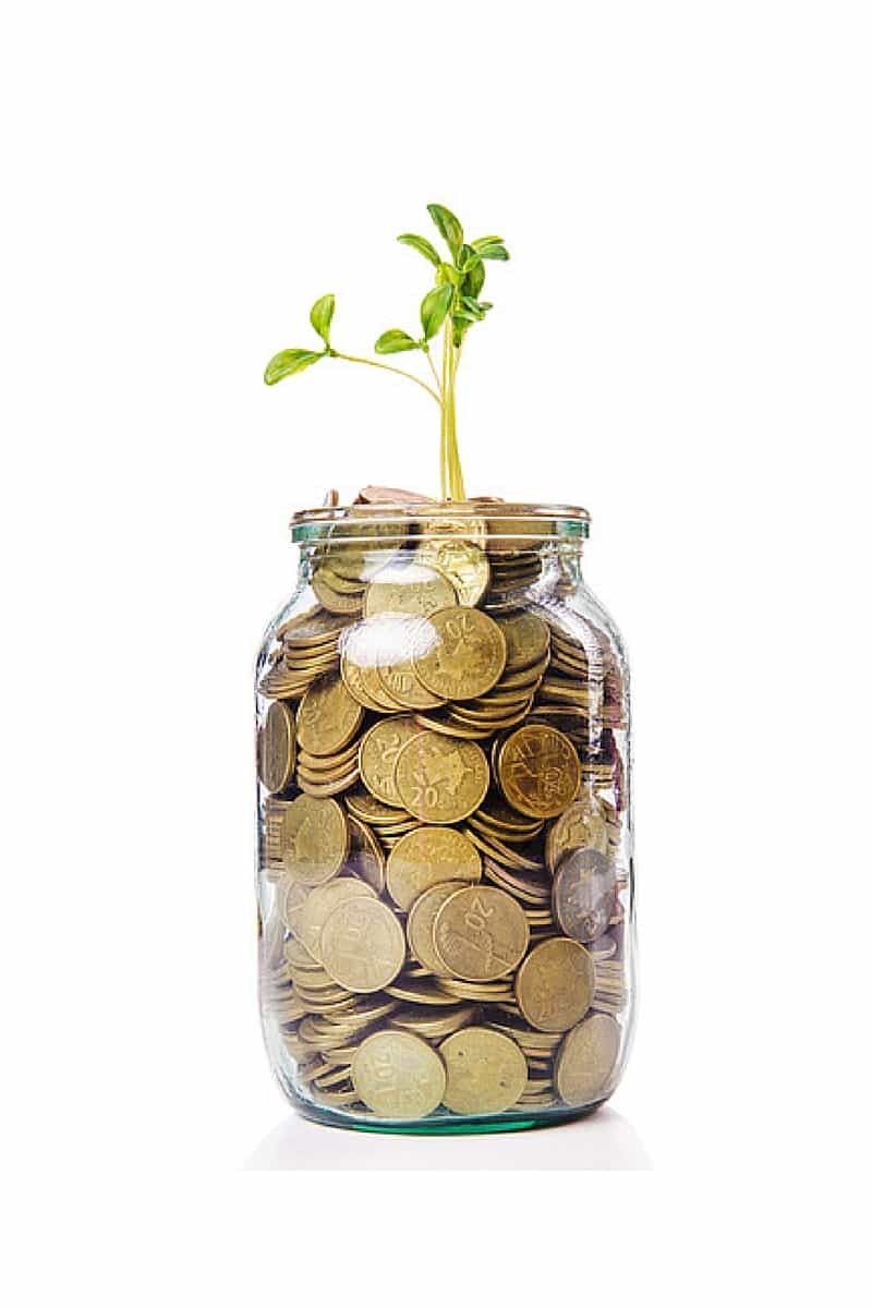 whole life insurance definition