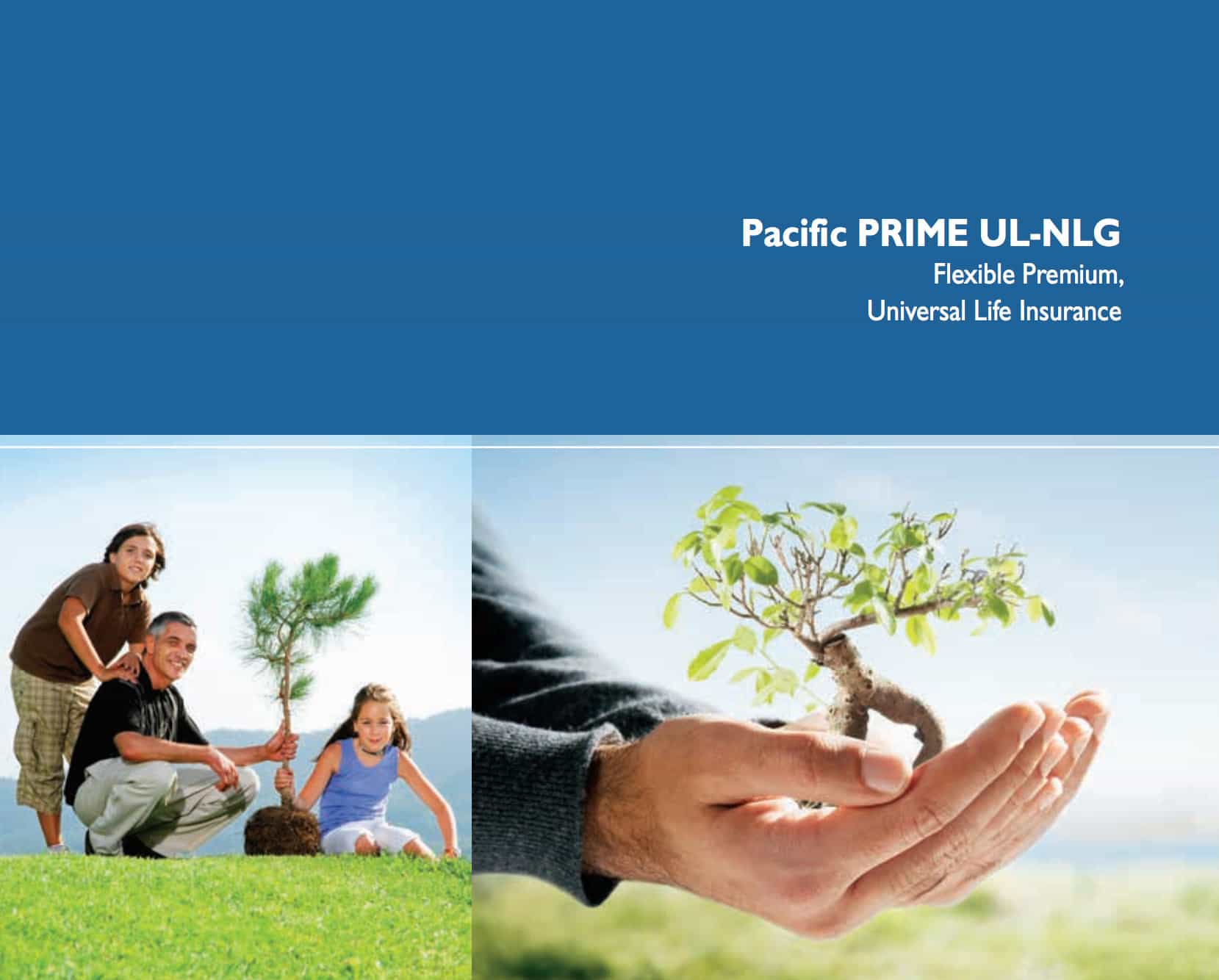 The Most Comprehensive Review of Pacific Life Insurance