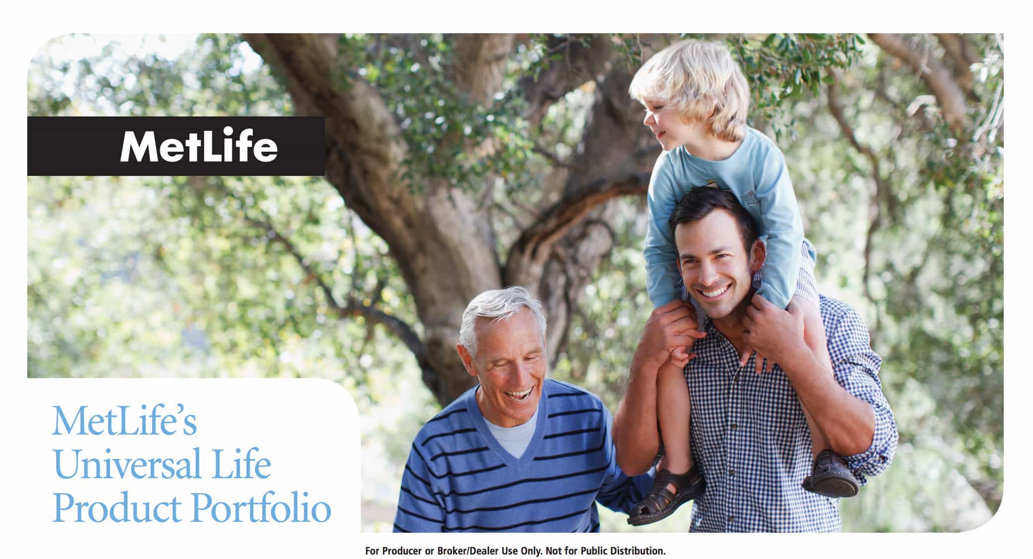 metlife universal life insurance