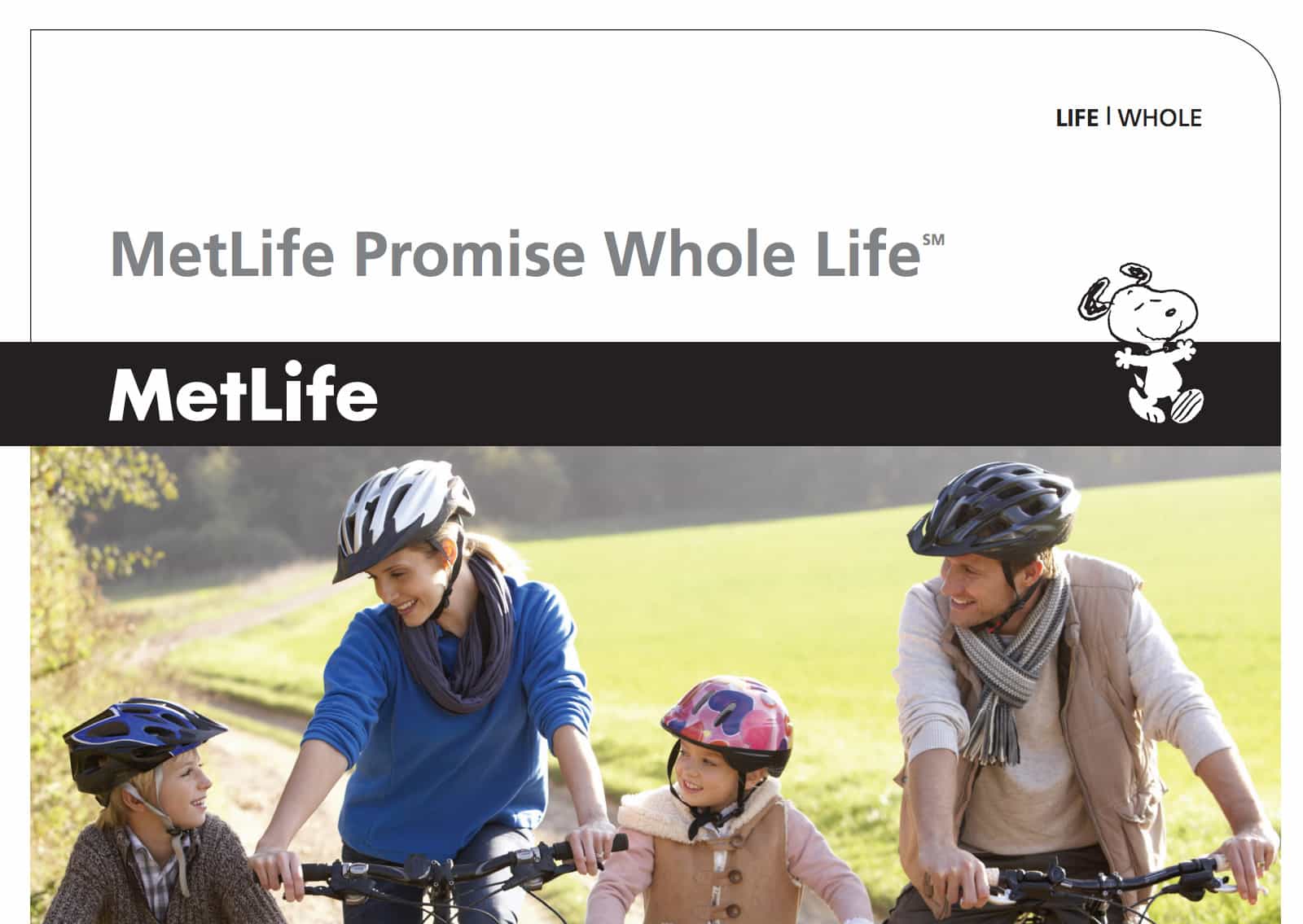 metlife whole life insurance