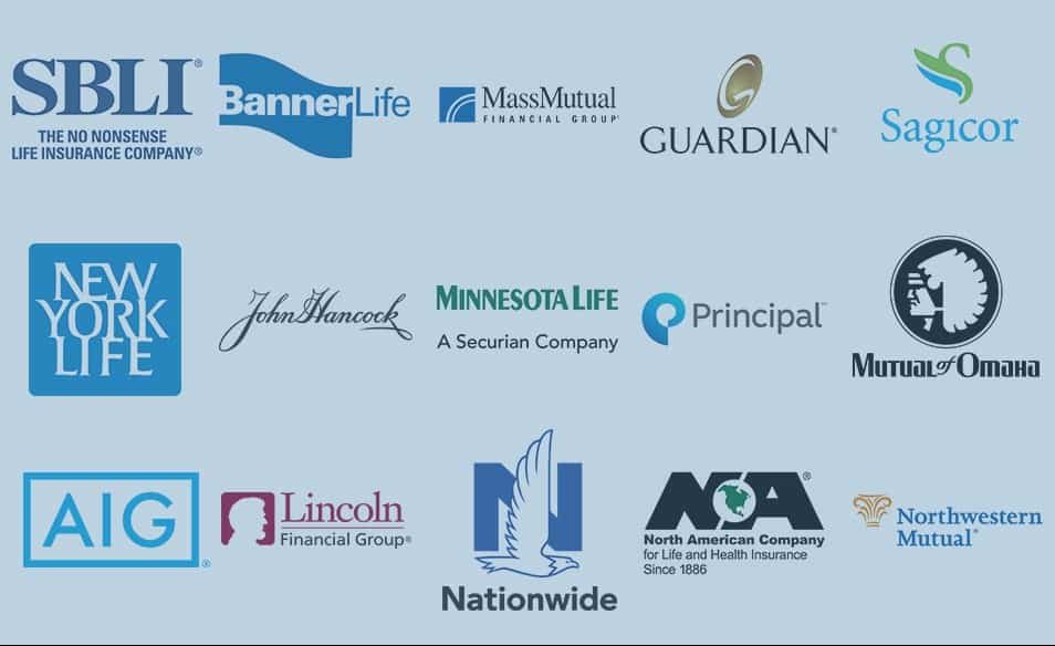 Life Insurance Companies