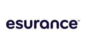 esurance home insurance logo