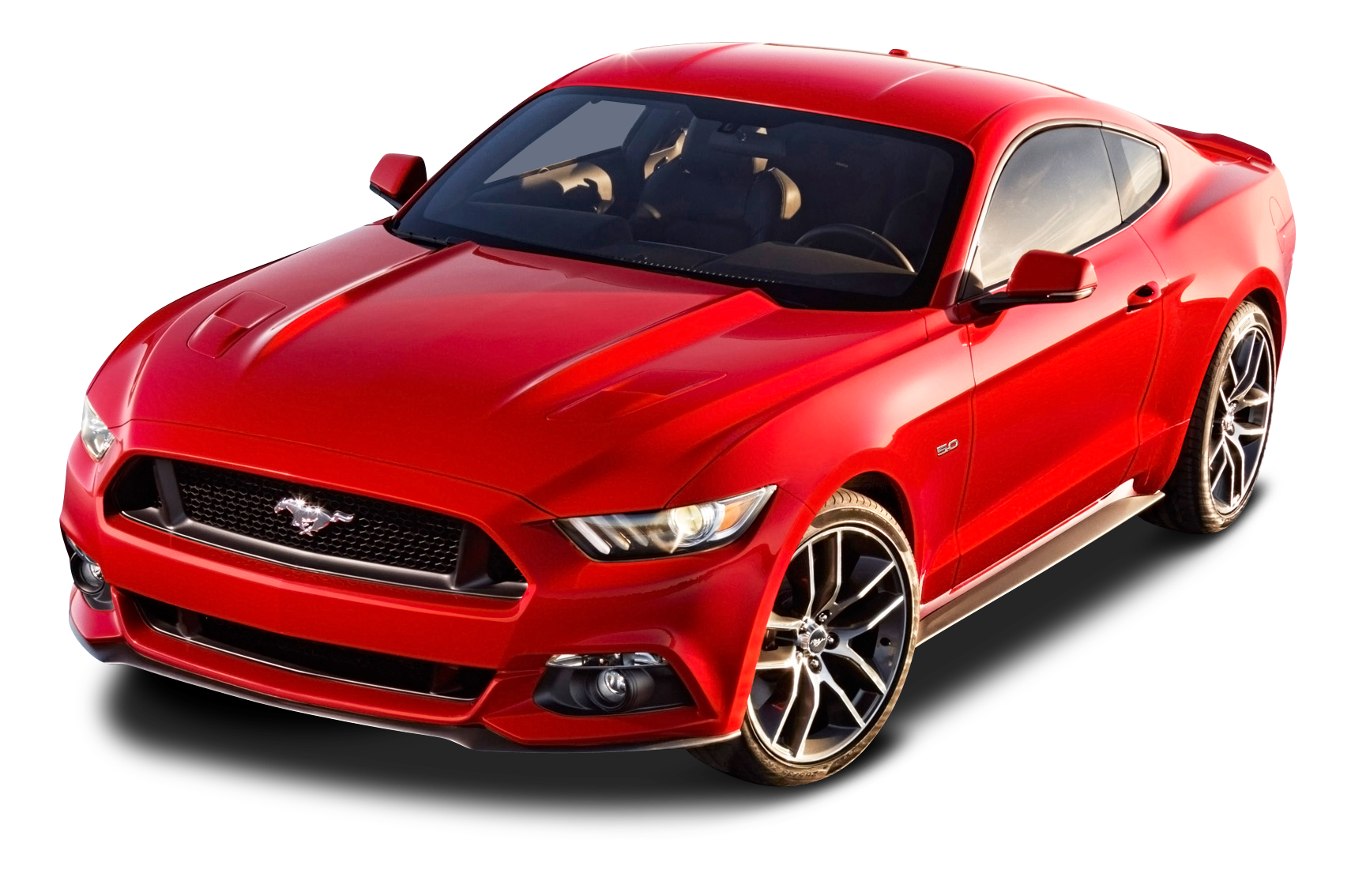 mustang