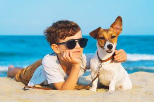 boy and dog playing on the beach in san diego