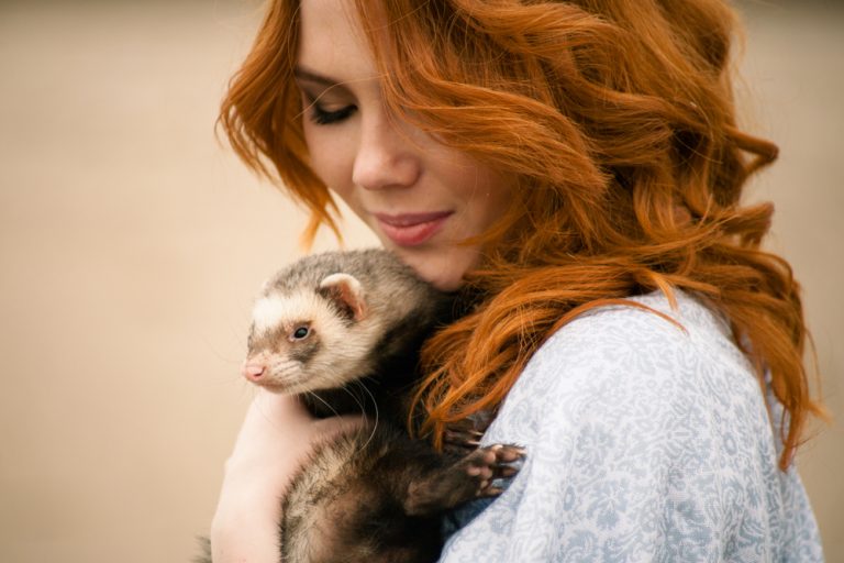 Ferret Pet Insurance Compare companies and prices for 2019