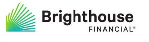 brighthouse financial life insurance review