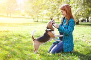 Girl playing with her beagle dog in autumn park