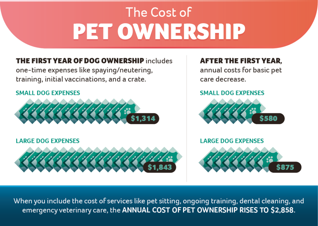 Being a Good Pet Parent Starts With Pet Insurance • Insurance Blog by