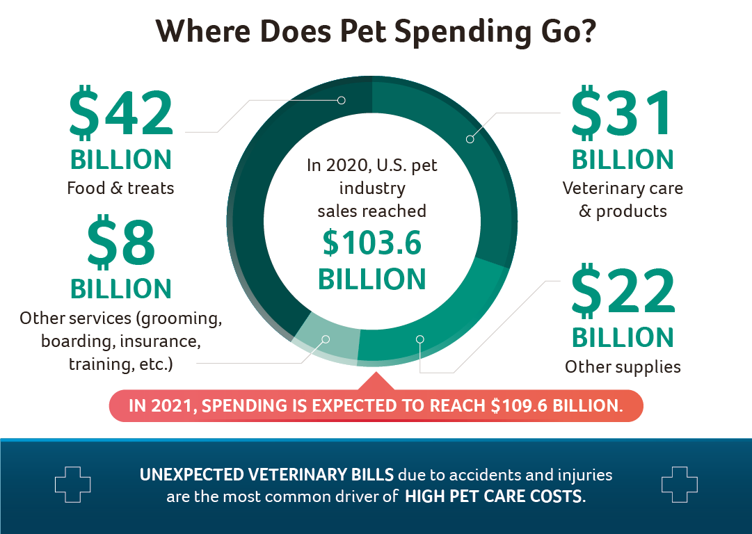 where does pet spending go?