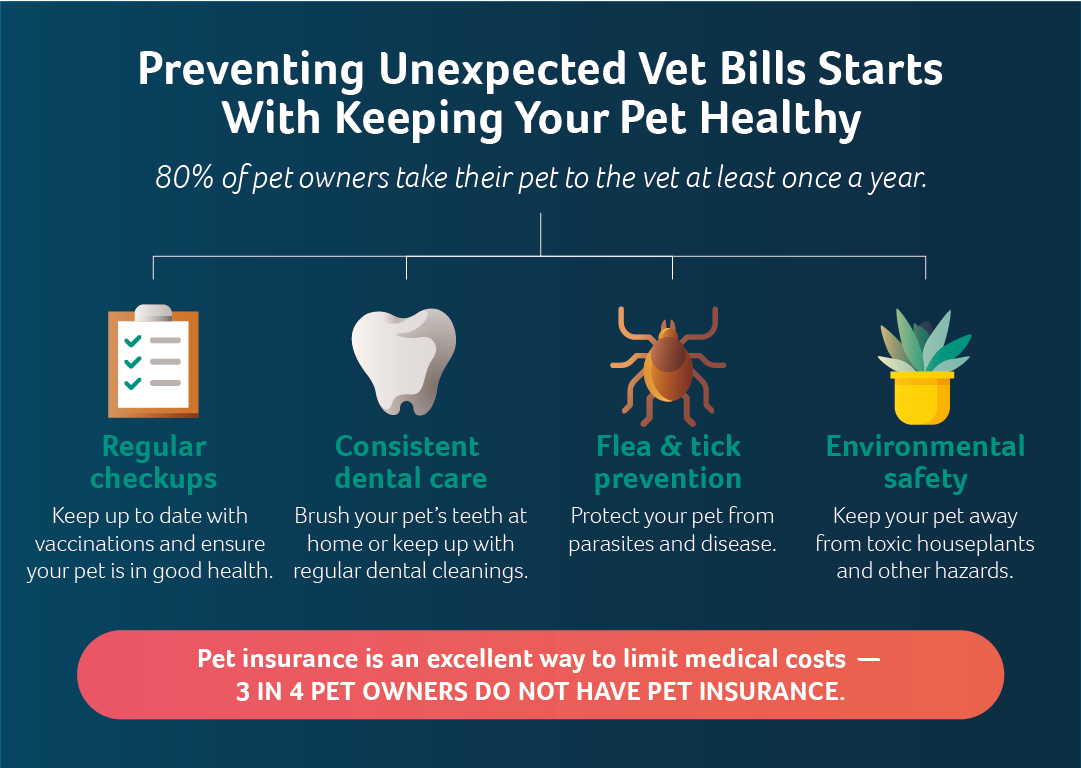 Preventing unexpected vet bills