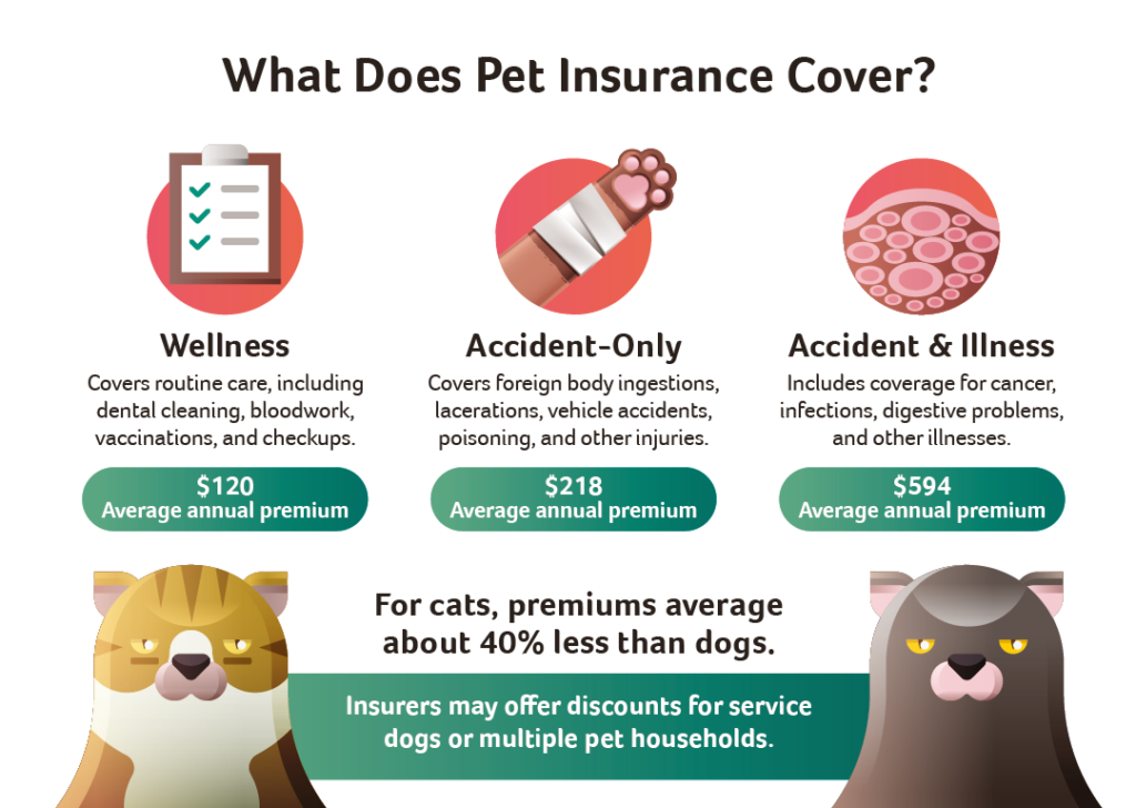 Being a Good Pet Parent Starts With Pet Insurance • Insurance Blog by