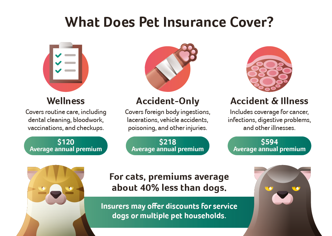 What does pet insurance cover?