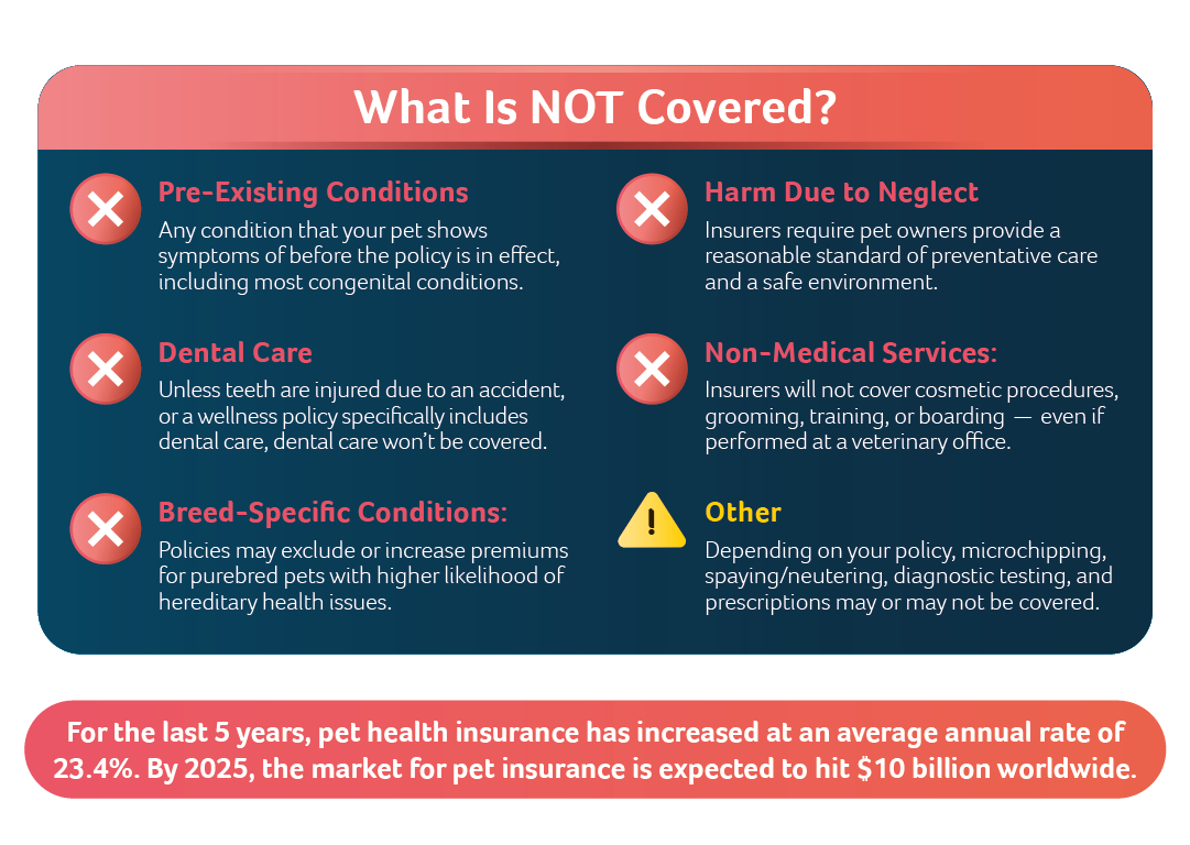 What is not covered by pet insurance?