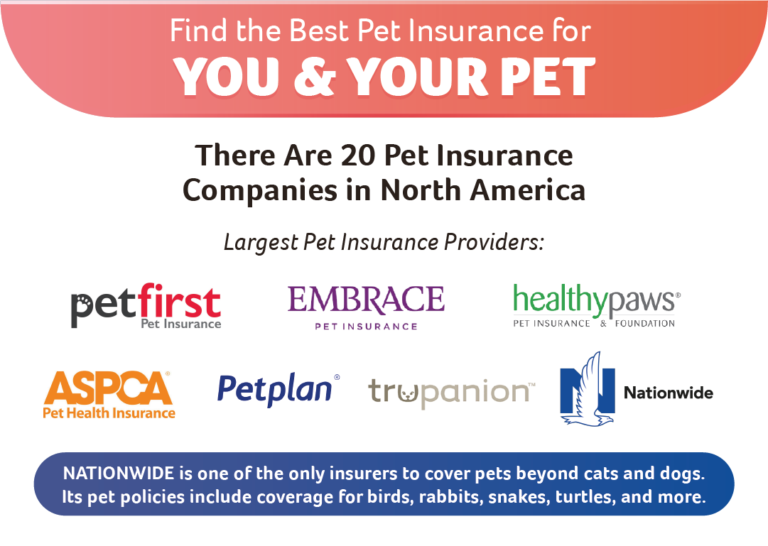 Find the best pet insurance